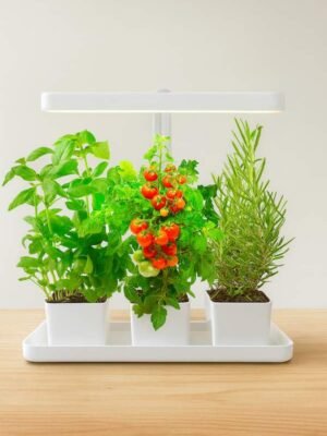 Jardinera de hierbas de la marca Torchstar